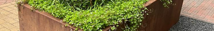 corten plantenbak